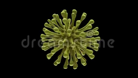 3几种病毒细菌在黑色分离背景上的呈现视频的预览图