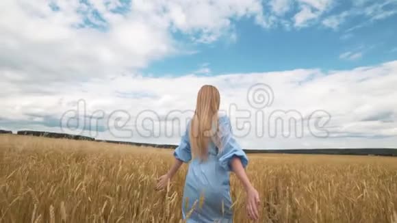一个穿着蓝色衣服的年轻女孩站在田野里风吹动她的头发视频的预览图