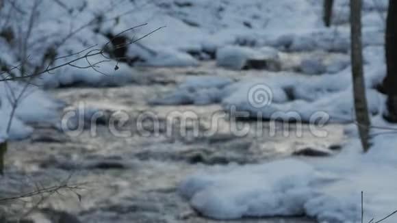 冬天一条美丽的清澈的小溪雪从树林里流过视频的预览图