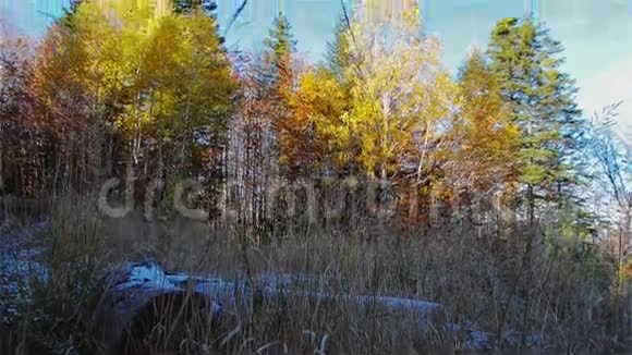 秋天的早晨在山上视频的预览图