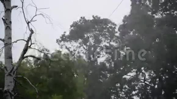 夏天的飓风和雨视频的预览图