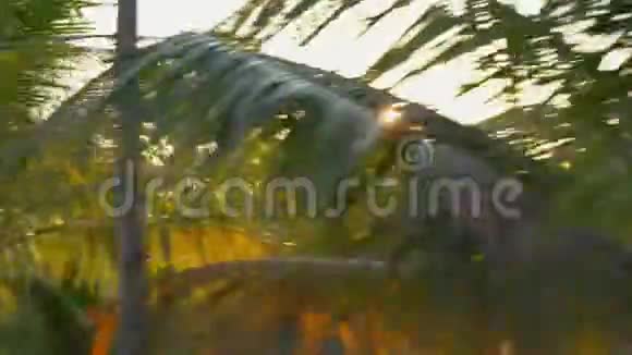 视角拍摄了一条美丽的热带道路日落时有棕榈树和树后的一个湖旅费视频的预览图
