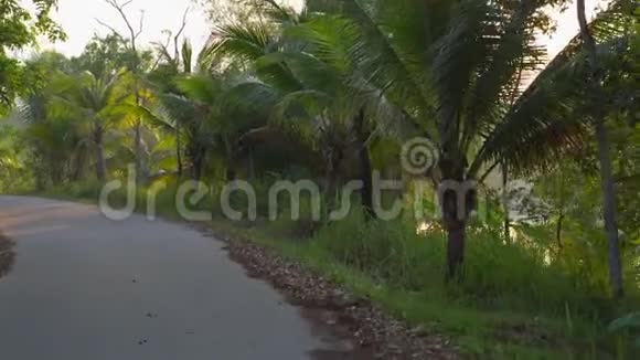 视角拍摄了一条美丽的热带道路日落时有棕榈树和树后的一个湖旅费视频的预览图