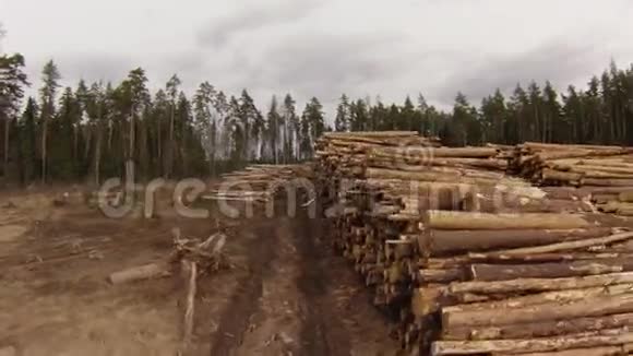 原始木材储存视频的预览图