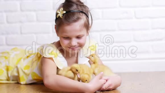 一个穿着黄色裙子的小可爱女孩正在和三只黄色的小鸭子玩用草药喂它们小鸭子视频的预览图