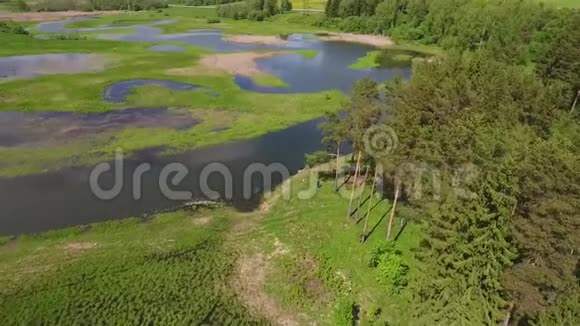 飞越湖和花湖美丽的俄罗斯自然空中Hd慢动作视频的预览图