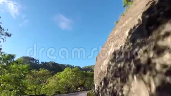山地省的松树从车辆上拍摄视频的预览图