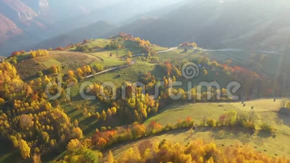 空中无人机4k观看罗马特兰西瓦尼亚的秋季乡村景观和木屋视频的预览图