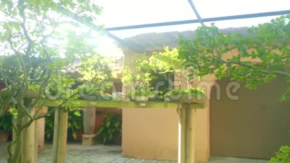 美丽的阳光西班牙庭院与许多绿树视频的预览图
