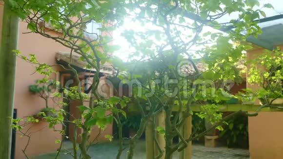 美丽的阳光西班牙庭院与许多绿树视频的预览图