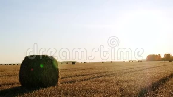 把干草堆放在田里收割小麦带着一捆干草的田园景观视频的预览图
