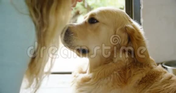 女人在家里亲吻她的狗视频的预览图