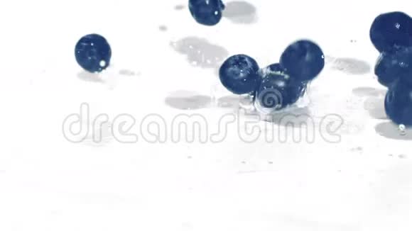 带水滴的蓝莓视频的预览图