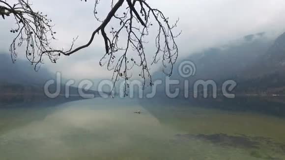 4K令人惊叹的博欣吉湖在雾蒙蒙的天气中穿过树木树枝尽收眼底斯洛文尼亚特里格拉夫国家公园朱利安阿尔视频的预览图