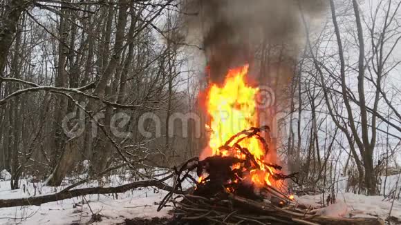 冬季森林火灾爆炸视频的预览图
