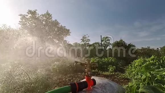 花园里的自动喷水装置视频的预览图