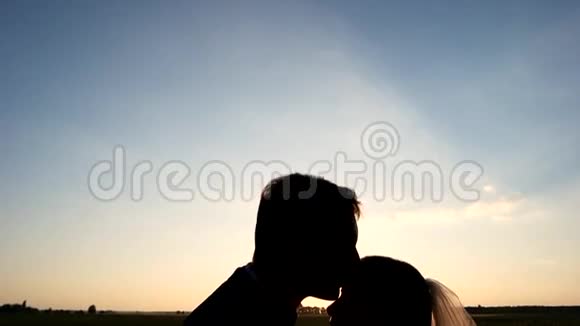 日落时分新婚夫妇在麦田里拥抱视频的预览图