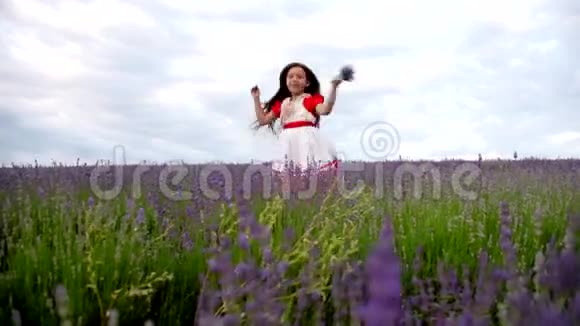 在薰衣草的田野里的女孩有趣的尖叫和拍打视频的预览图