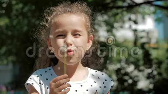 慢动作特写镜头可爱的小女孩免费吹蒲公英户外日落快乐的概念视频的预览图
