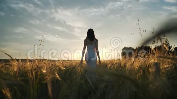 日落时分一个年轻的女孩站在一片金色的麦田里举起双手慢吞吞的动作视频的预览图