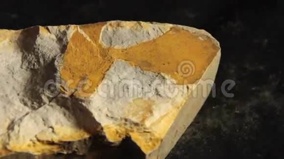 金科化石地质岩石视频的预览图