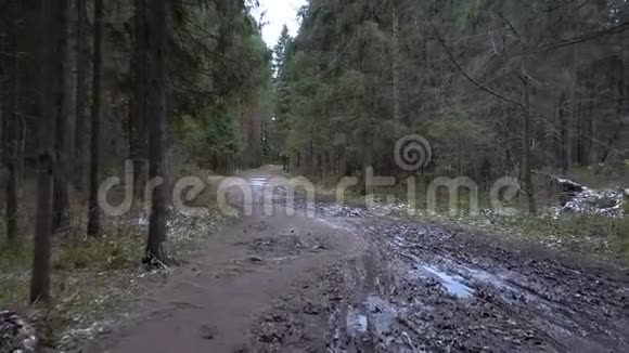 森林冻坑视频视频的预览图