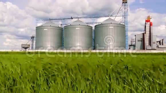 农业青贮前景向日葵种植园建筑外部储存和干燥谷物小麦玉米大豆视频的预览图