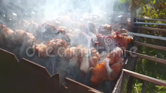 什式烤肉串是天然的慢动作视频的预览图