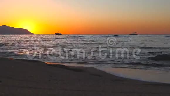红海沿岸的黑鹭视频的预览图