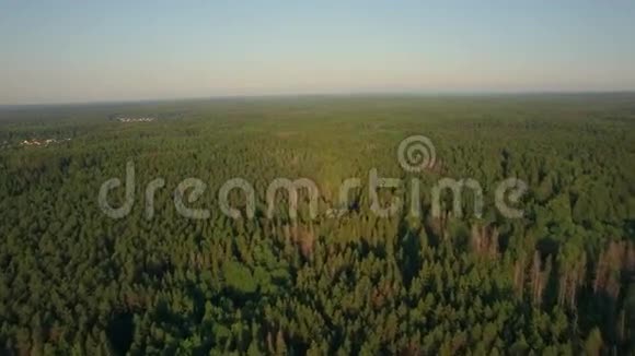 俄罗斯绿色森林上空的空中飞行视频的预览图