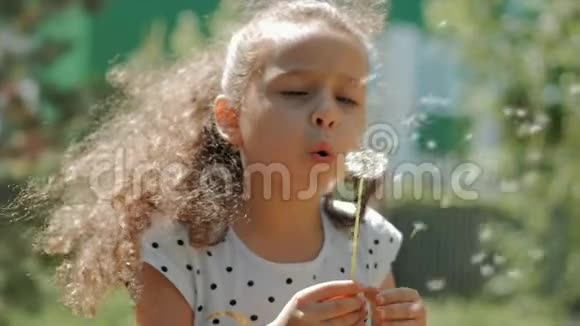 慢动作特写镜头可爱的小女孩免费吹蒲公英户外日落快乐的概念视频的预览图