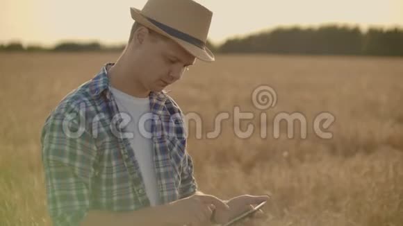 年轻的男农在麦田里拿着药片视频的预览图