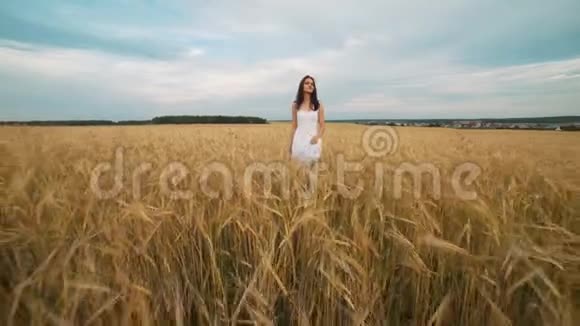 幸福自然暑假假期和人的概念穿着白色连衣裙的年轻女子沿着麦田漫步视频的预览图