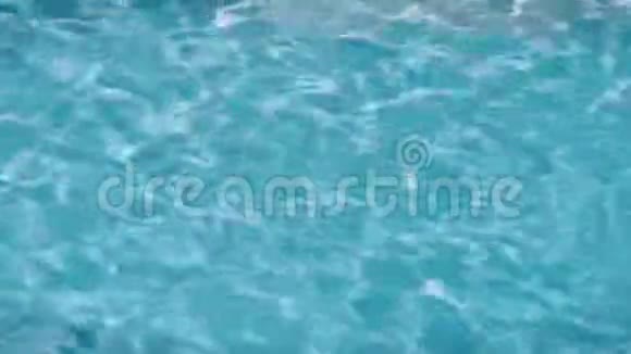 泳池里的黄色吱吱作响的鸭子家族视频的预览图