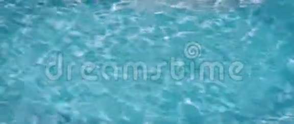 泳池里的黄色吱吱作响的鸭子家族视频的预览图