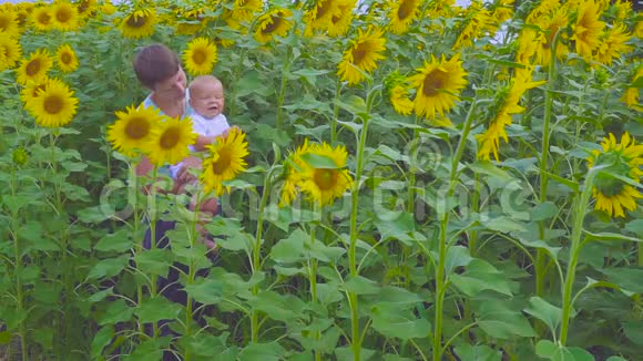 母子俩玩一朵向日葵视频的预览图