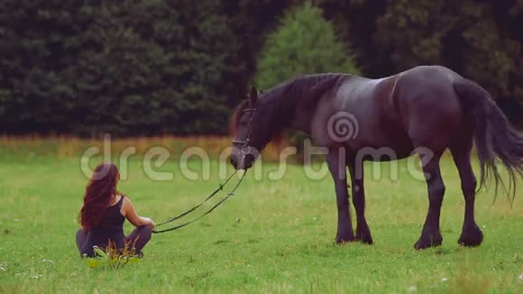 年轻女子骑着马坐在草地上视频的预览图
