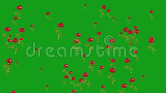 落下来的玫瑰运动图形绿色屏幕背景视频的预览图