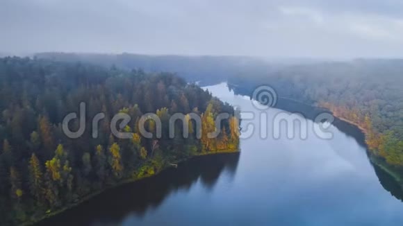 早上美丽的雾湖视频的预览图