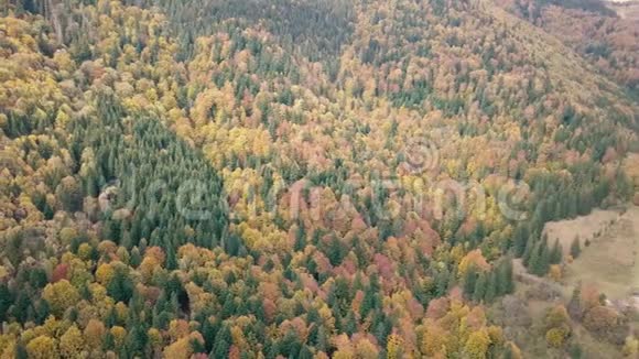 在晴朗的日子飞越秋日的喀森林视频的预览图