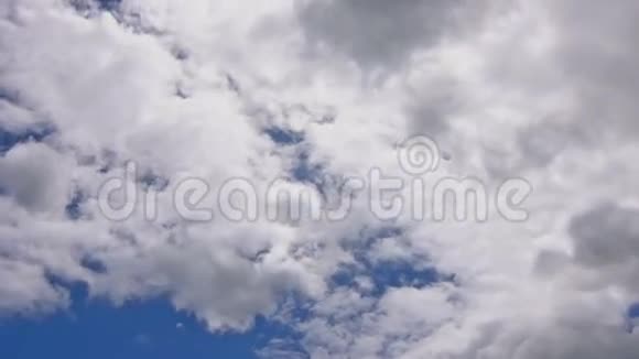 在天空中飞翔从正面循环动画视频的预览图