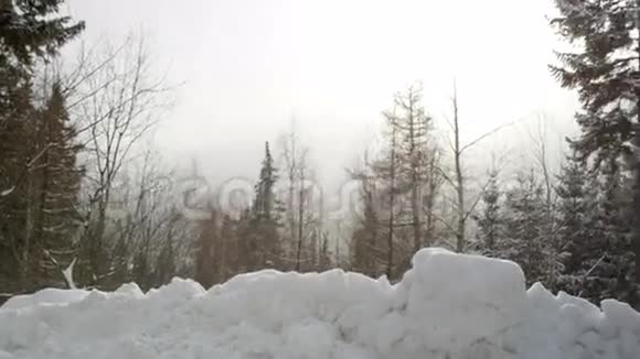 年轻女子在冬天的山林中欣赏风景拍摄于红色史诗视频的预览图