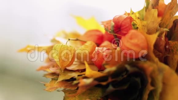 一束美丽的黄叶在女性手中视频的预览图