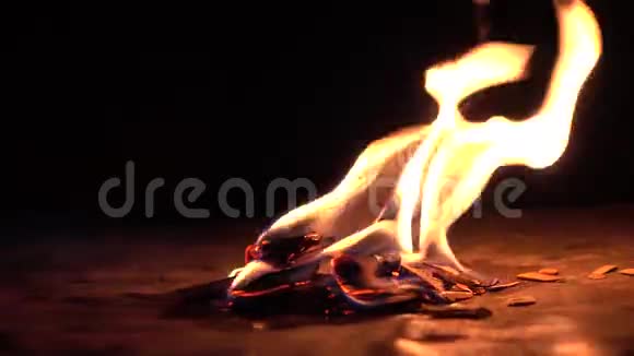 在黑暗中燃烧木头黑色背景下的小火4K关闭视频视频的预览图