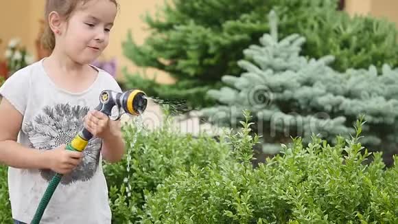 小女孩在花园里浇绿草可爱的小女孩拿着洒水器在草坪上喷洒视频的预览图