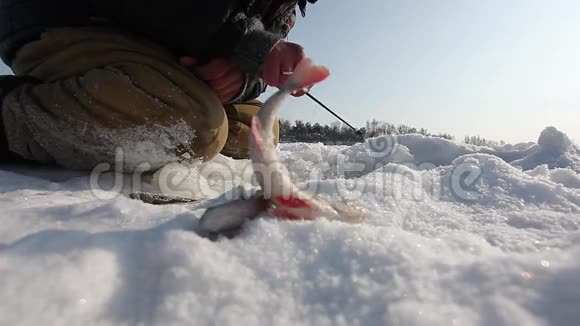 冬季捕鱼视频的预览图