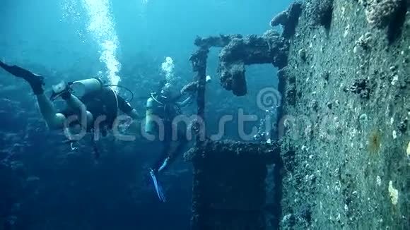 潜水员参观沉船盖尼斯D红海沙姆沙伊赫埃及视频的预览图