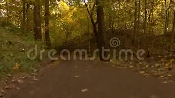 蒸笼走过秋林路4K视频视频的预览图