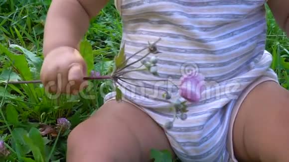 孩子手里拿着一朵花坐着视频的预览图
