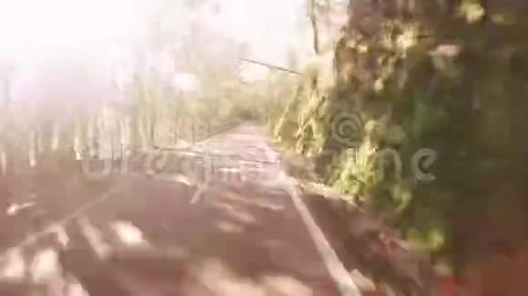 骑自行车的视角镜头视频的预览图